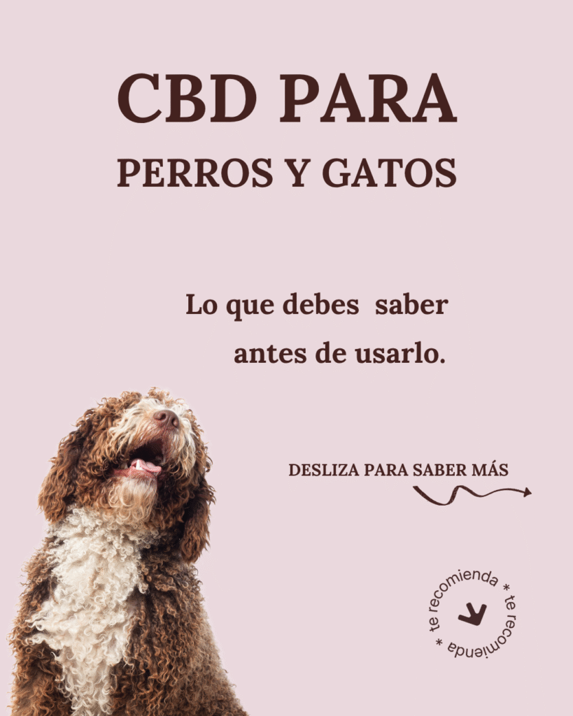 Aceites de CBD para mascotas de El Estanque junto a perro y gato, mostrando productos naturales para su bienestar.